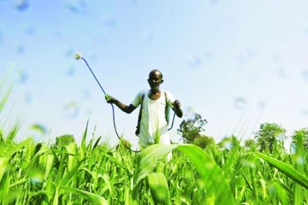 कीडनाशकांच्या वापराचे भान आवश्यक