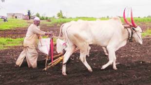 loan waiver , Farmers, कर्जमाफी , BJP Mla prashant bamb, devendra fadnavis , Loksatta, Loksatta news, Marathi, Marathi news