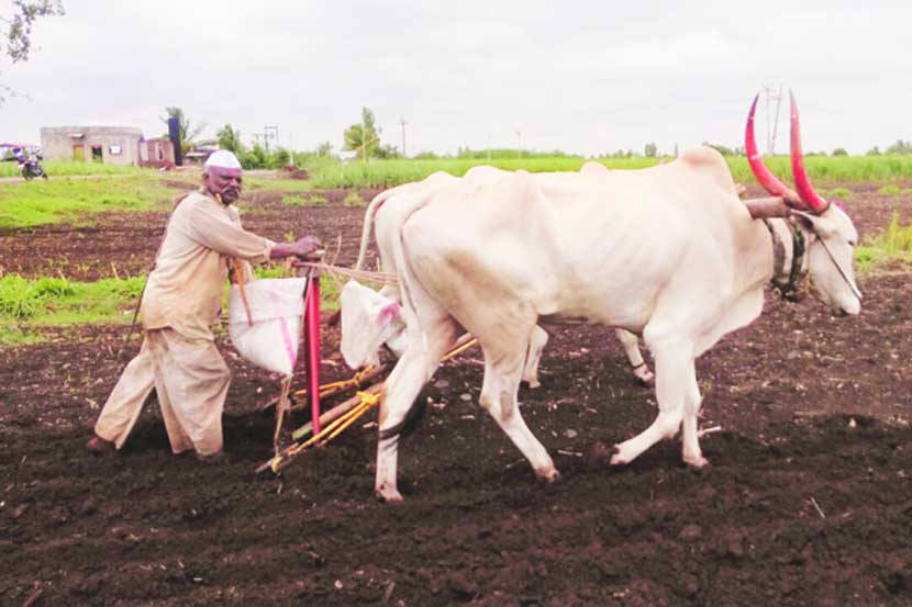 loan waiver , Farmers, कर्जमाफी , BJP Mla prashant bamb, devendra fadnavis , Loksatta, Loksatta news, Marathi, Marathi news loan waiver , Farmers, कर्जमाफी , BJP Mla prashant bamb, devendra fadnavis , Loksatta, Loksatta news, Marathi, Marathi news