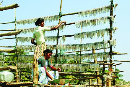 तुम्हीच सांगा, महागाईत खायचं काय? तुम्हीच सांगा, महागाईत खायचं काय?