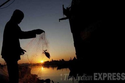श्रीलंकेकडून सात भारतीय मच्छीमारांना अटक