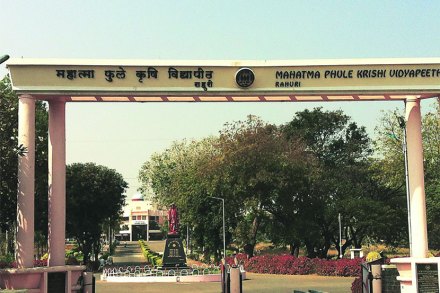 कृषी विद्यापीठे पांढरे हत्ती : वास्तव आणि विपर्यास