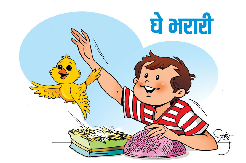 घे भरारी