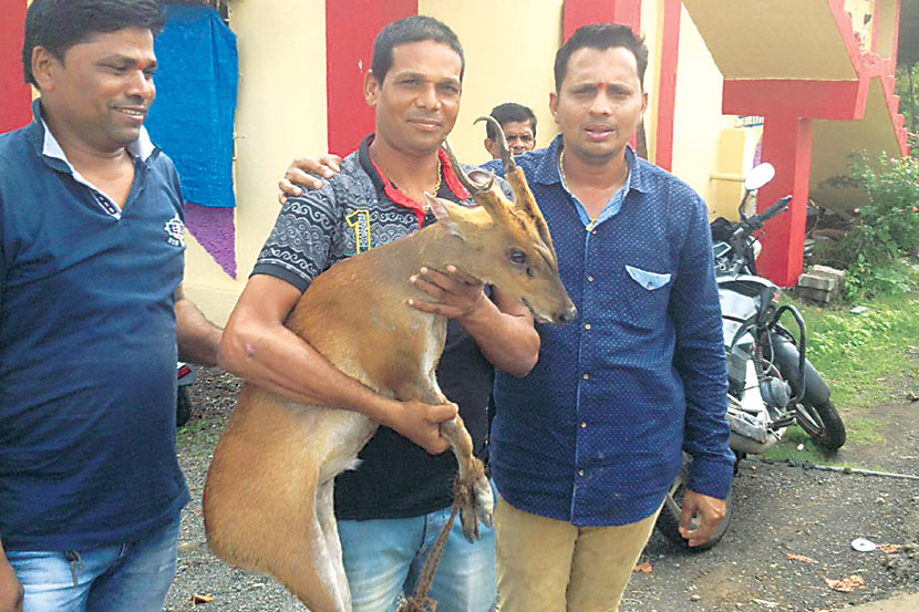 प्राणिमित्रांच्या मदतीने हरणाची सुटका करण्यात आली.