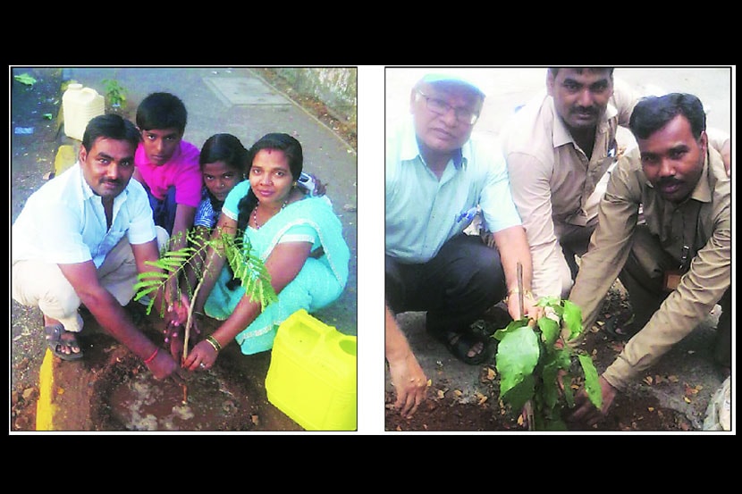 प्रासंगिक : हिरवाई जोपासण्याची ‘सद्भावना’