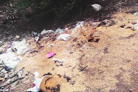 शिधापत्रिकेवरील गहू, तांदळाची पोती दगडखाणीत