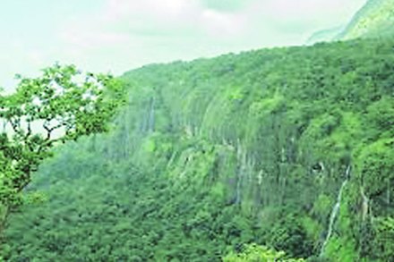 तेव्हा तीन कोटी, आता दोन कोटी.. मात्र हिरवाईत घटच!
