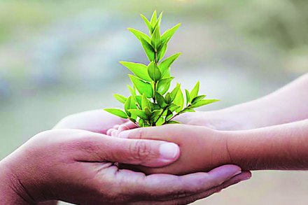 वनस्वयंसेवक बना, सवलती मिळवा