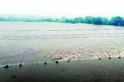 उशिराचा पाऊस..