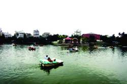 फेर‘फटका’ : खड्डयावर उतारा
