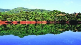 Koyna dam , water level increase , heavy rain, Monsoon, Loksatta, Loksatta news, Marathi, Marathi news