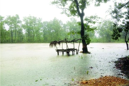 पाच हजारांवर मामा तलाव तुडूंब