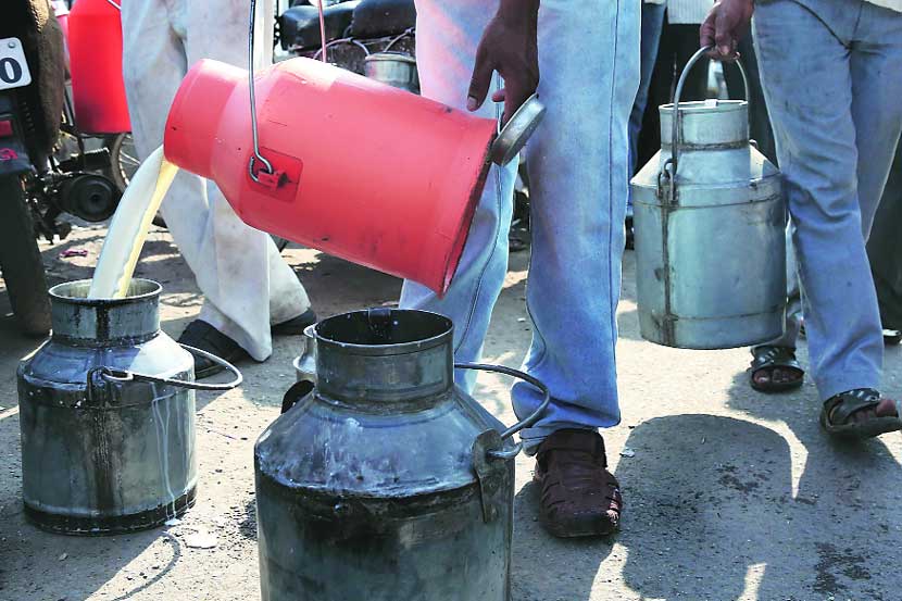 दुधाच्या सायीचे दलाल दुधाच्या सायीचे दलाल