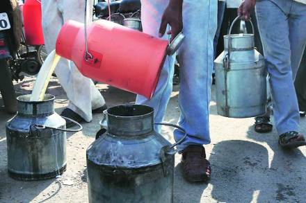 दुधाच्या सायीचे दलाल दुधाच्या सायीचे दलाल