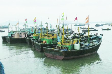 बंदी उठल्याने सोमवारपासून मासेमारीला सुरुवात