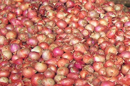 शेतकऱ्यांची ‘आधारभूत’ कोंडी!