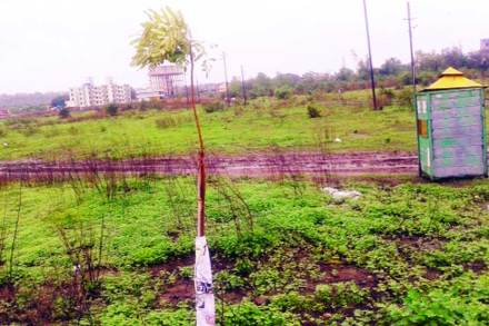 विस्मरणात गेलेली २४ एकर जागा पोलिसांना सापडली! विस्मरणात गेलेली २४ एकर जागा पोलिसांना सापडली!