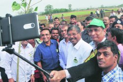 वृक्ष लागवड अभियान कोल्हापुरात उत्साहात