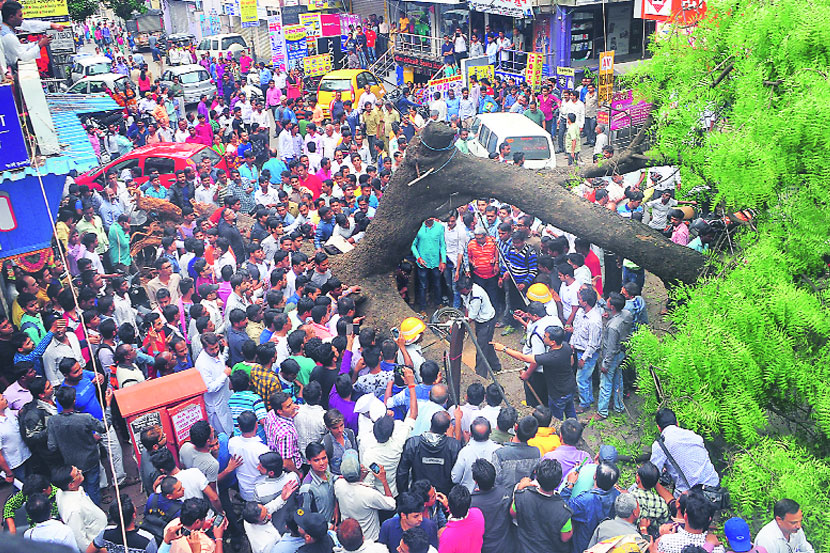 नाशिकमध्ये झाड कोसळून दोन जखमी, सात गाडय़ांचे नुकसान नाशिकमध्ये झाड कोसळून दोन जखमी, सात गाडय़ांचे नुकसान