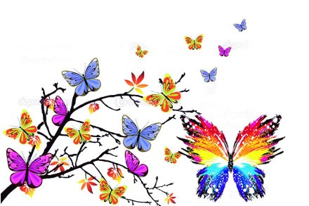 फुलपाखरांच्या जगात : टेल्ड जय फुलपाखरांच्या जगात : टेल्ड जय