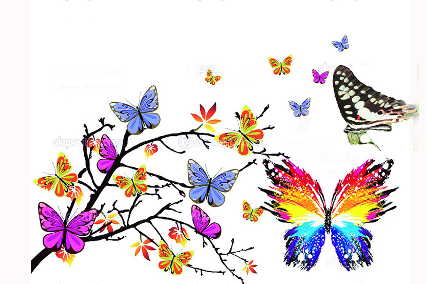 फुलपाखरांच्या जगात : कामन जय फुलपाखरांच्या जगात : कामन जय