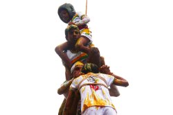 गेल्या वर्षीपेक्षा यंदा वसई-विरारमध्ये दहीहंडय़ांचे प्रमाण वाढले!