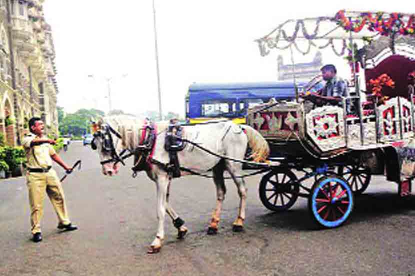 ‘व्हिक्टोरिया’ची टपटप सुरूच राहणार!