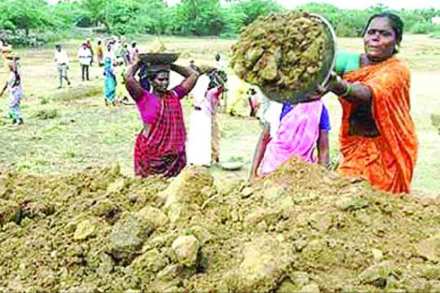 रोजगार हमी योजनेकडे कामगारांची पाठ