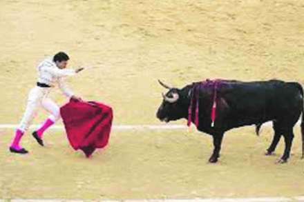 माद्रिदची बुलफाइट