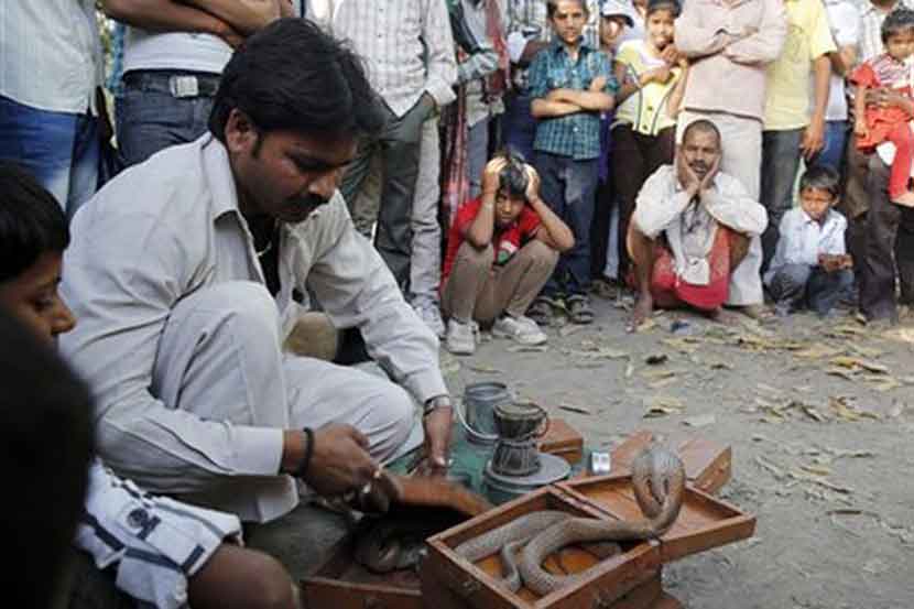 नागपंचमी विशेष : गारुडी जमातीवर कायद्याचा बडगा, पुनर्वसनाचा प्रश्न आजही कायम नागपंचमी विशेष : गारुडी जमातीवर कायद्याचा बडगा, पुनर्वसनाचा प्रश्न आजही कायम