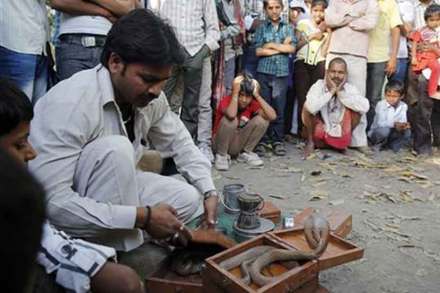 नागपंचमी विशेष : गारुडी जमातीवर कायद्याचा बडगा, पुनर्वसनाचा प्रश्न आजही कायम नागपंचमी विशेष : गारुडी जमातीवर कायद्याचा बडगा, पुनर्वसनाचा प्रश्न आजही कायम