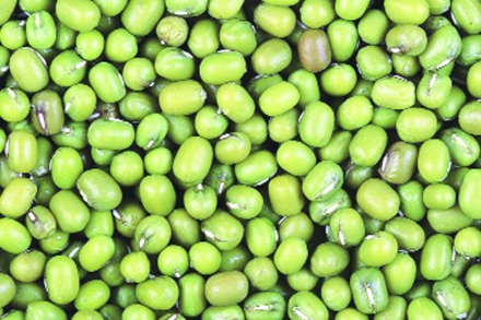 पेरणी : खरीप कडधान्ये