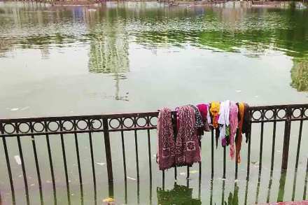 प्लास्टिक, कचऱ्याच्या थरांमुळे वांद्रे तलावाची ‘शोभा’!