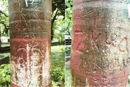राणीच्या बागेत पर्यटकांकडून वृक्षांना इजा