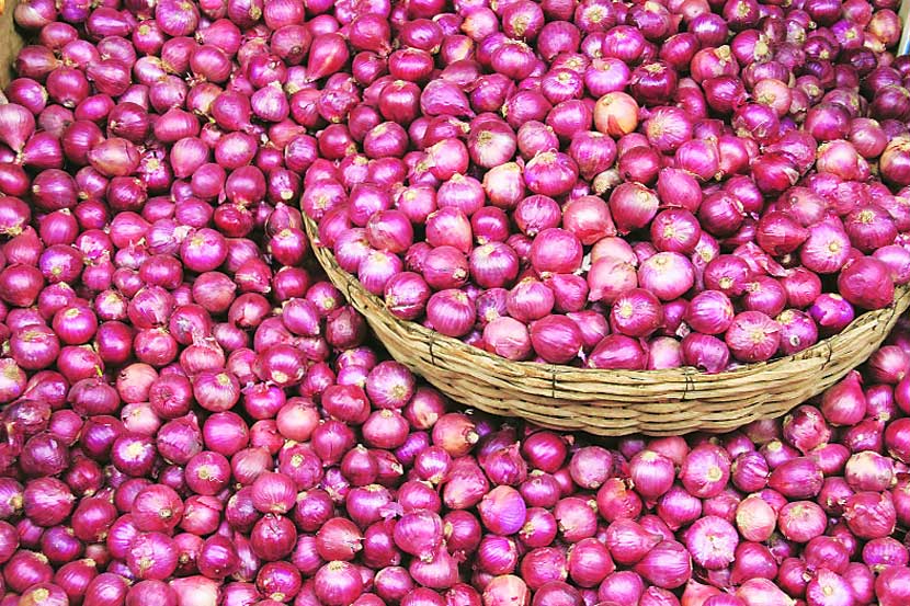 onion crisis in Maharashtra , Central government , BJP, farmers , Loksatta, Loksatta news, Marathi, Marathi news