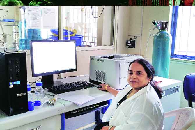 साखरेची गोष्ट साखरेची गोष्ट