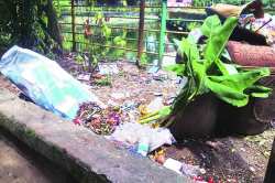 विमला तलाव निर्माल्य उपक्रम रखडला