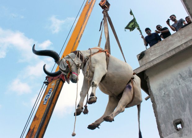 सौजन्य- सोशल मीडिया सौजन्य- सोशल मीडिया