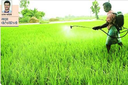 माझा पोर्टफोलियो : दमदार पावसानंतर आता वळू पीक संरक्षणाकडे! माझा पोर्टफोलियो : दमदार पावसानंतर आता वळू पीक संरक्षणाकडे!