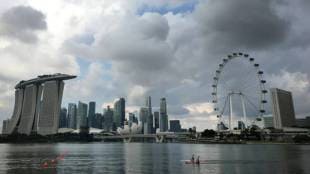 Zika in singapure,Zika virus infection,झिकाची बाधा