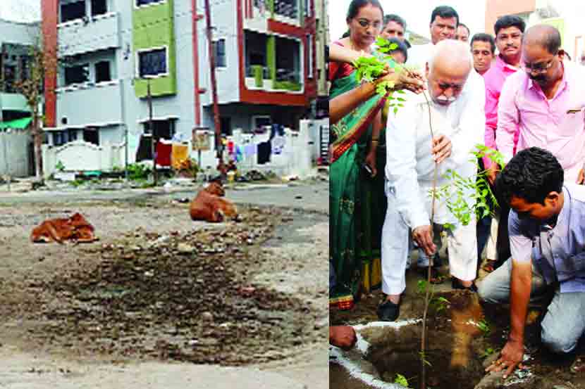 सरसंघचालकांच्या हस्ते वृक्षारोपण.. परंतु निगा नाही!