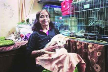 ‘कॅटवुमन’च्या मदतीसाठी प्राणीसंस्था सरसावल्या ‘कॅटवुमन’च्या मदतीसाठी प्राणीसंस्था सरसावल्या