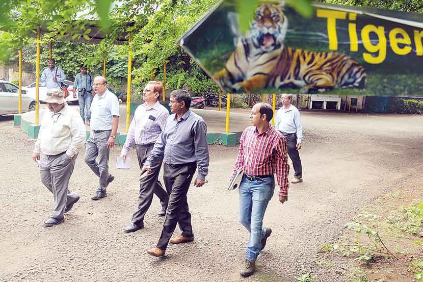 महाराजबाग प्राणिसंग्रहालयाची पाहणी करताना प्राधिकरणाचे मूल्यांकन व संनियंत्रण अधिकारी डॉ. बी.के.गुप्ता. महाराष्ट्र राज्य प्राणिसंग्रहालय प्राधिकरणाचे संजय ठाकरे व इतर मान्यवर.