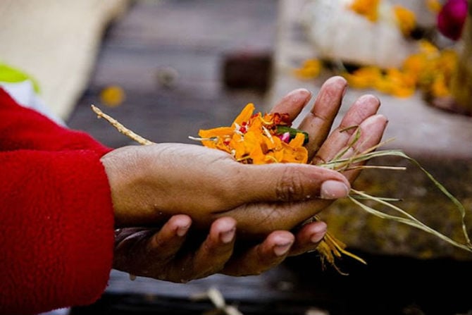 १३ वर्षीय मुलीने कुटुंबाच्या भरभराटीसाठी तब्बल १० आठवडे उपवास केला होता. १३ वर्षीय मुलीने कुटुंबाच्या भरभराटीसाठी तब्बल १० आठवडे उपवास केला होता.