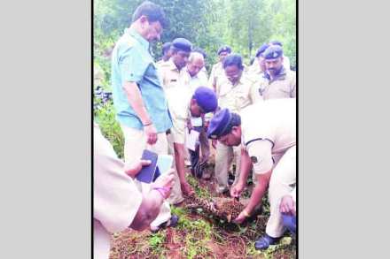 घटनास्थळाची पाहणी करताना वनकर्मचारी.