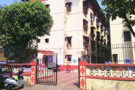 कुटुंबसंकुल : स्वच्छतेचे ‘दर्शन’