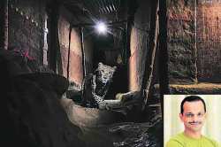 चार महिने.. एक छायाचित्र