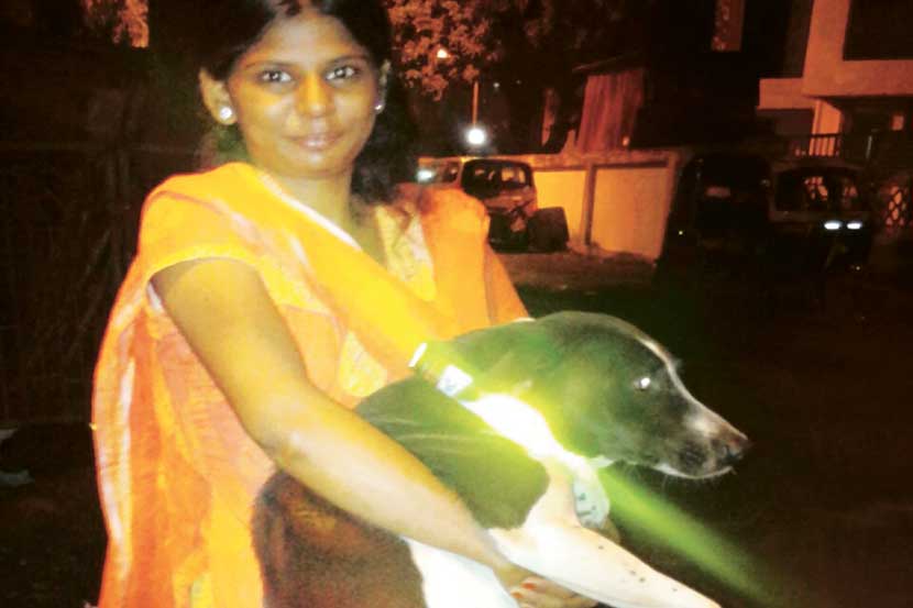 महामार्गावरील भटक्या श्वानांसाठी ‘मॅजिक कॉलर’ महामार्गावरील भटक्या श्वानांसाठी ‘मॅजिक कॉलर’