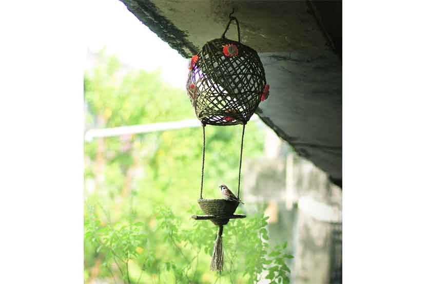 рдкрдХреНрд╖реНрдпрд╛рдВрдирд╛ рджрд┐рд╡рд╛рд│реАрдд рдХрдВрджрд┐рд▓рд╛рдЪрд╛ рдирд┐рд╡рд╛рд░рд╛ рдкрдХреНрд╖реНрдпрд╛рдВрдирд╛ рджрд┐рд╡рд╛рд│реАрдд рдХрдВрджрд┐рд▓рд╛рдЪрд╛ рдирд┐рд╡рд╛рд░рд╛