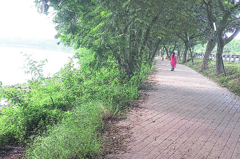 पाऊले चालती.. : एकाग्रता, आल्हाद आणि आरोग्य.. पाऊले चालती.. : एकाग्रता, आल्हाद आणि आरोग्य..